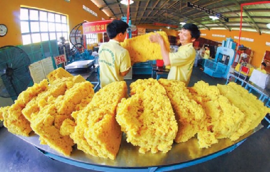Giá cao su bất ngờ giảm mạnh, DN và nhà vườn lại kêu trời!